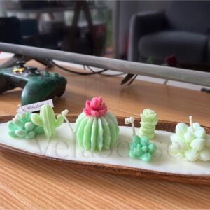 Jardin de Suculentas